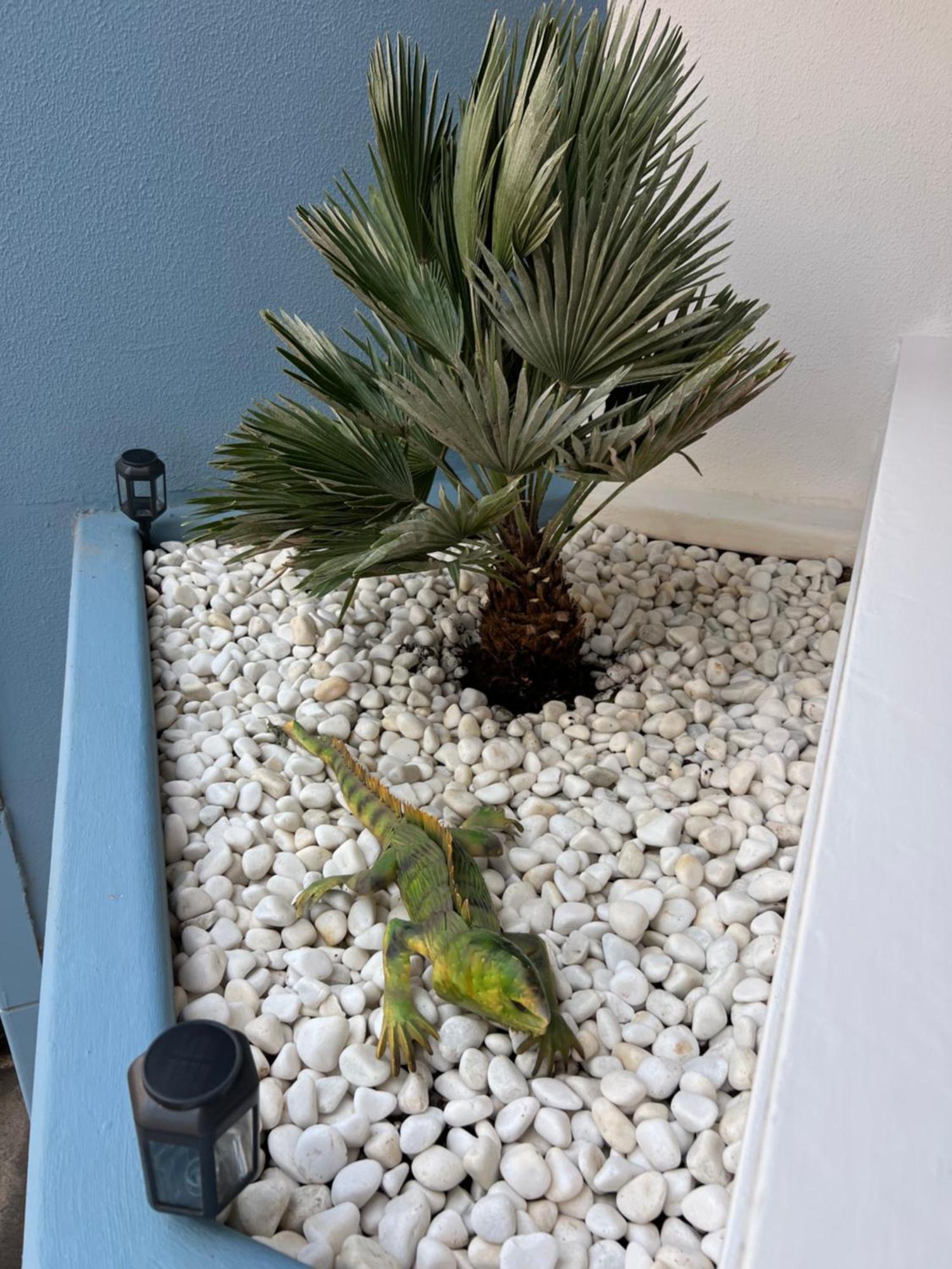 Air Conditioning, Private Parking And Fully Equipped Kitchen In Hotel Room In Golf Del Sur, Tenerife San Miguel de Abona Dış mekan fotoğraf